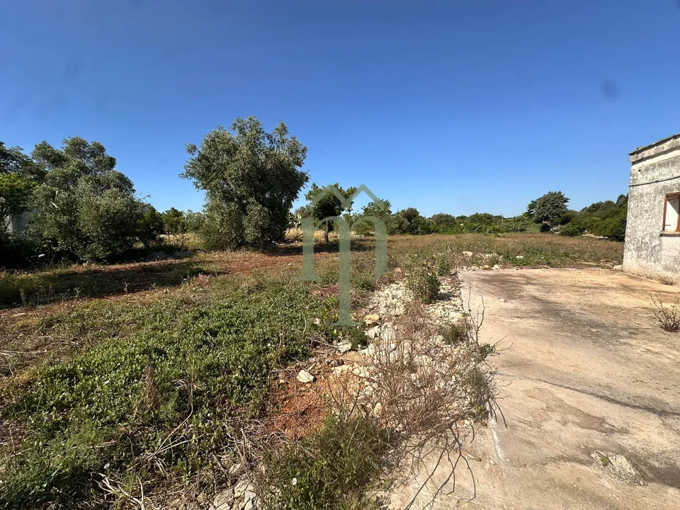 Ruin i Carovigno, Brindisi - bilde 3